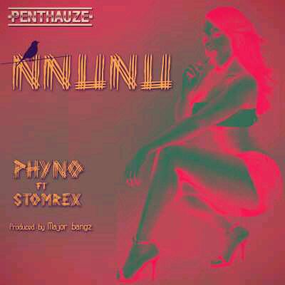 MUSIC | Phyno – “Nnunu” ft. Storm Rex (Prodby Major Bangz)