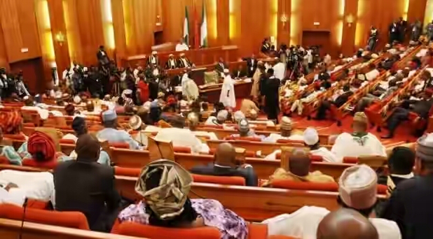 Senate confirms Ayine as new auditor-general of the federation