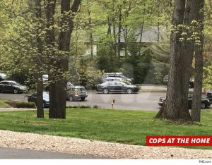 50 Cent’s Mansion Swarmed by Cops Investigating Break-In