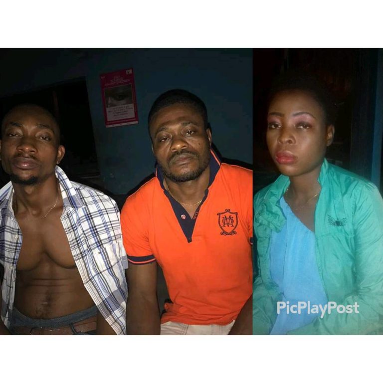 Suspected robbers including a lady who stormed home of Surveyor General arrested