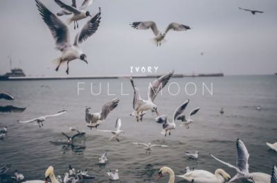 DOWNLOAD MP3: Ivory – Full Moon
