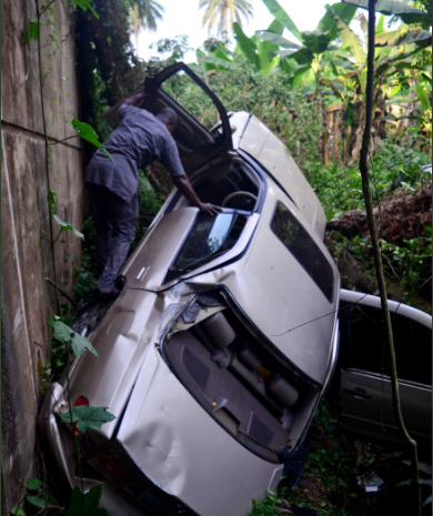 All occupants come out alive after two cars fell off a bridge and landed in the forest below