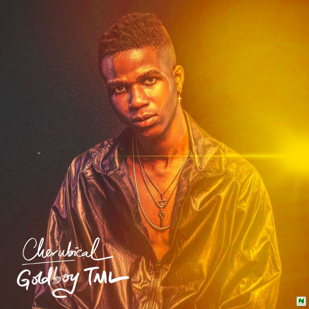 DOWNLOAD Goldboy TML – Fly MP3