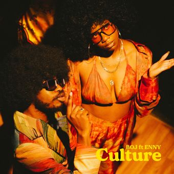DOWNLOAD Boj – Culture Ft. ENNY mp3