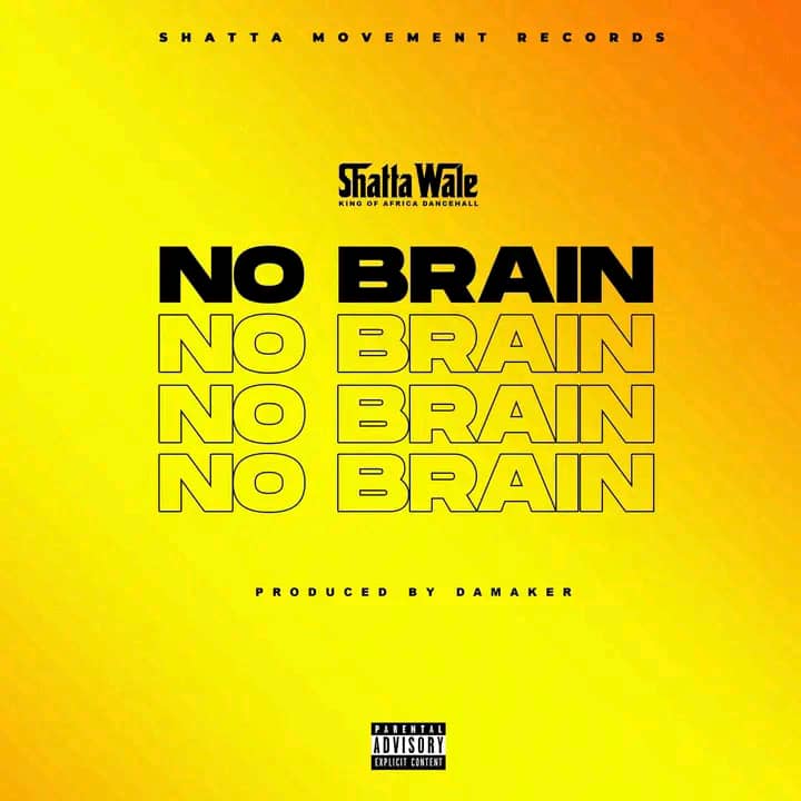 DOWNLOAD Shatta Wale – No Brain mp3
