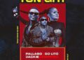 DOWNLOAD Dj Lito ft Pallaso & Jackie Chandiru – Tonight mp3
