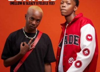 DOWNLOAD Mellow & Sleazy & Felo Le Tee – Dumi 105 mp3