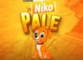 DOWNLOAD Suma Dee ft Msaga Sumu – NIKO PALE mp3