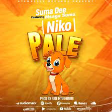 DOWNLOAD Suma Dee ft Msaga Sumu – NIKO PALE mp3