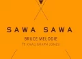 DOWNLOAD Bruce Melodie – Sawa Sawa Ft. Khaligraph Jones mp3