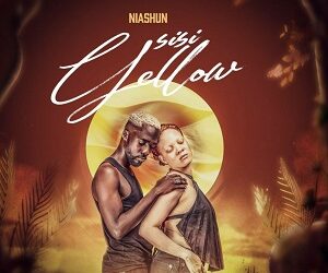 DOWNLOAD Niashun – Sisi Yellow mp3