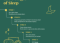 The Importance of Sleep Cycles (and Tips to Improve Yours)