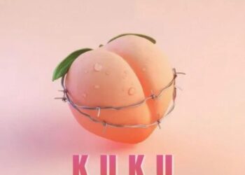 DOWNLOAD DJ Ally T – Kuku (Quantum Sounds) ft. Shaunmusiq, Ftears & Mellow & Sleazy mp3