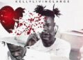 DOWNLOAD Kellylivinglarge – Misunderstood mp3