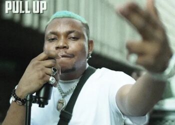 DOWNLOAD The Mic – Pull Up ft. Olakira mp3