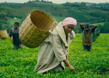 VIDEO: Zuchu – Napambana | mp4 Download