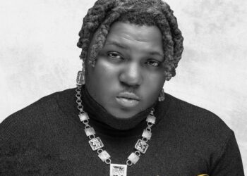 DOWNLOAD Areezy – Lifestyle mp3