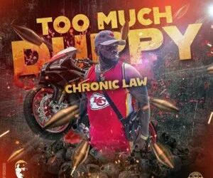 DOWNLOAD Chronic Law – Too Much Duppy mp3