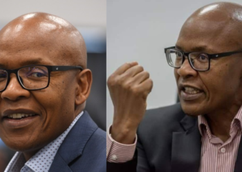 Mzwanele Manyi Biography, Age, Place of Birth, Career, Networth