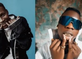 DOWNLOAD Seyi Vibez, Zinoleesky Song download