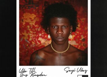 DOWNLOAD Seyi Vibez – For the Gods mp3