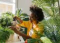 5 benefits of keeping houseplants in your home