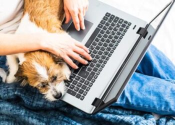 5 ways your dog can keep you on-task while working remotely