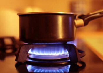 Cooking at high heat can damage food’s DNA, cause cancer: Study