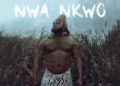 DOWNLOAD Kellygzee – Nwa Nkwo AUDIO MP3 DOWNLOAD mp3
