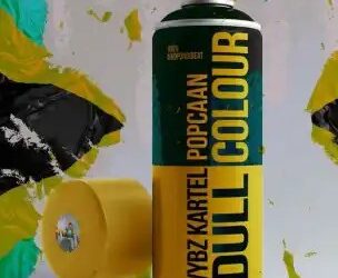 DOWNLOAD Vybz Kartel – Dull Colour Ft Popcaan mp3