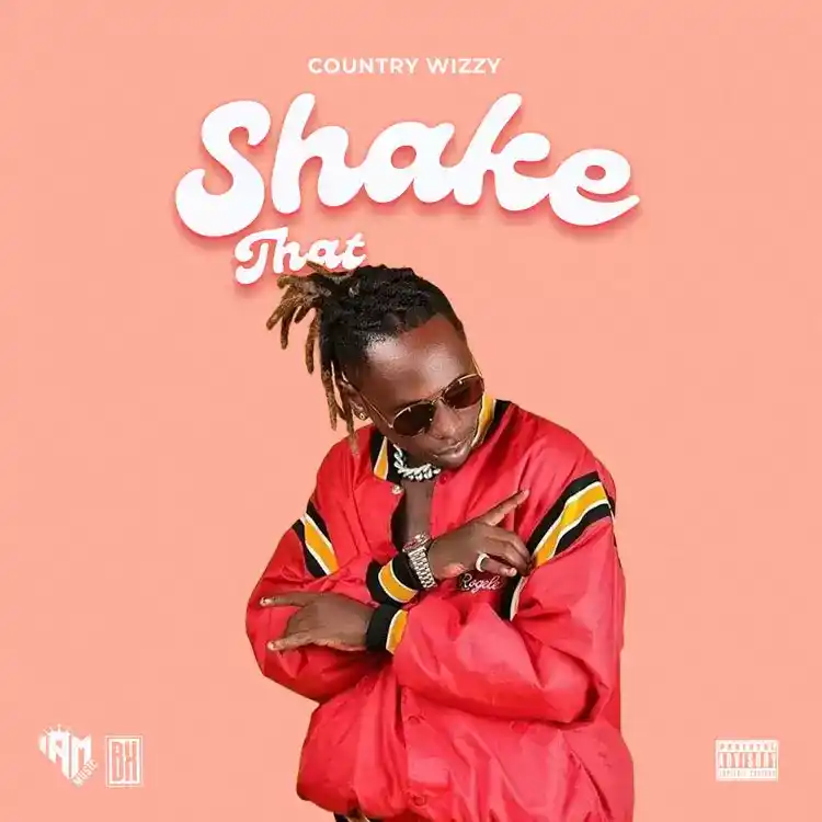 DOWNLOAD Country Wizzy – Shake That Ass mp3
