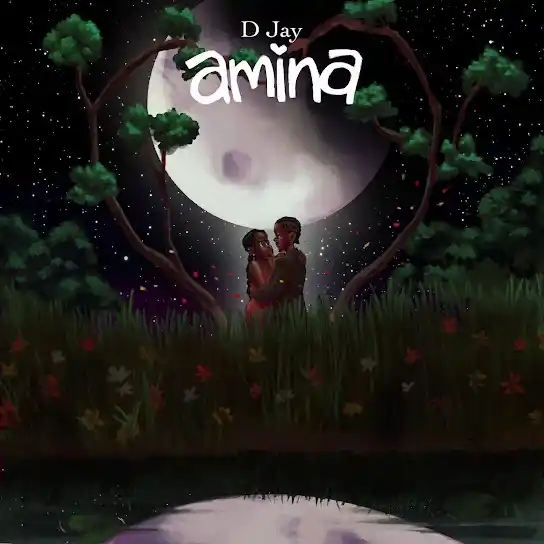 DOWNLOAD D Jay – Amina mp3