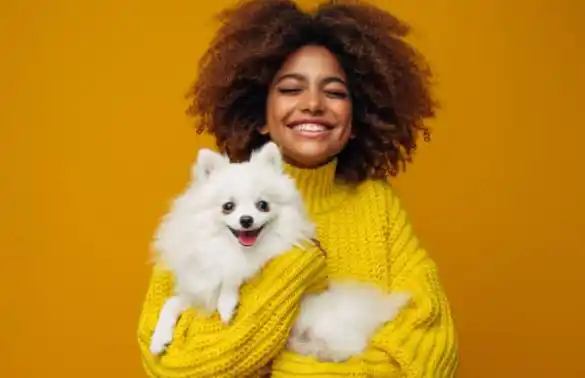 5 essential items you need to buy before getting a pet