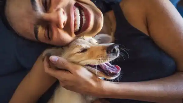 International Dog Day: 6 reasons why dogs are the perfect companion for humans