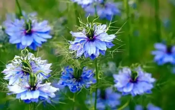 4 side effects of being a virgin for too long, as per data