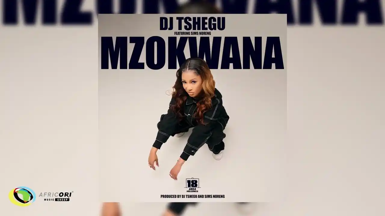 DOWNLOAD Dj Tshegu – Mzokwana ft. Sims Noreng mp3
