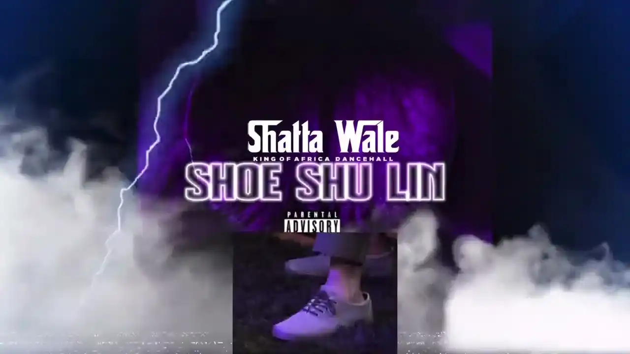 DOWNLOAD Shatta Wale – Shoe Shu Lin mp3