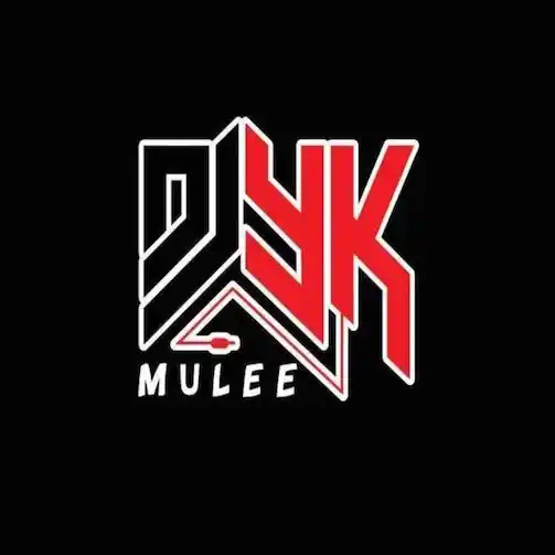 DOWNLOAD DJ YK Mule – Organize Dance Beat mp3
