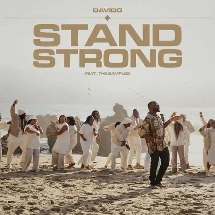 DOWNLOAD Davido – Stand Strong ft. The Samples (Instrumental) mp3