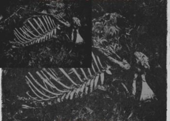 DOWNLOAD Prime Boy – Tribute To Mohbad mp3