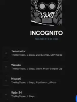 DOWNLOAD TheBoyTapes, J Slayz, 2woBunnies & DBN Gogo – Terminator mp3