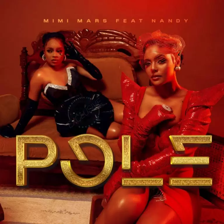 DOWNLOAD Mimi Mars Ft Nandy – Pole mp3