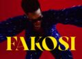 DOWNLOAD Reekado Banks – Fakosi mp3