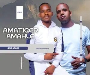 DOWNLOAD Amatiger amahle – Sifun’impumelelo mp3