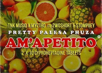 DOWNLOAD TNK MusiQ & Myztro – Am’apetito Ft. 2woshort, Stompiiey & Xduppy mp3