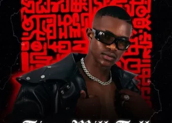 DOWNLOAD Pushkin & Springle – Mbali ft. Sonini, Amaqhawe, T&T MuziQ & TorQue Muziq mp3