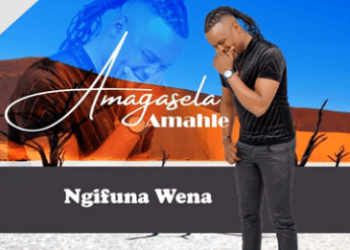 DOWNLOAD Stabhilithi – Ngifuna Wena mp3