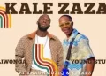 DOWNLOAD DaliWonga – Kale Zaza Ft Young Stunna, Shaunmusiq & Ftears mp3