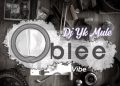 DOWNLOAD Dj Yk Mule – Oblee Vibe mp3