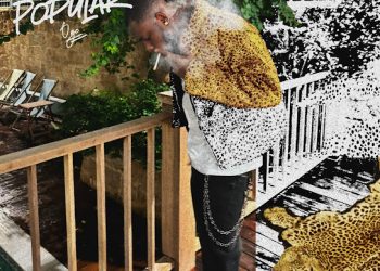 DOWNLOAD OGC – Video Call ft. Cazulee mp3